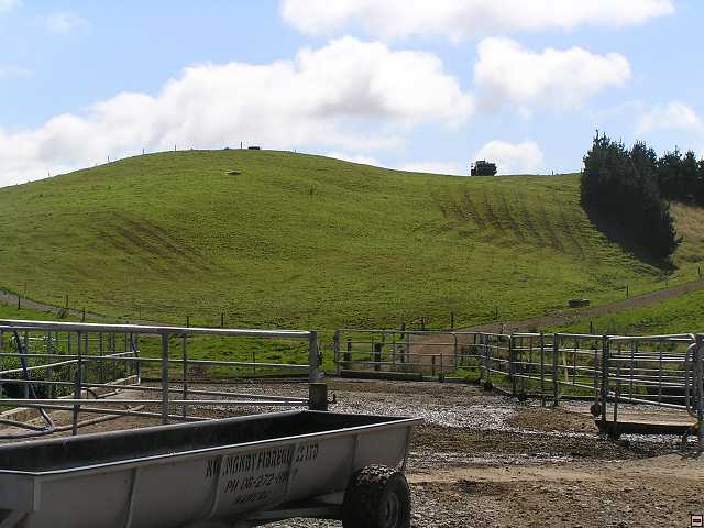 NZ leden-unor 2006 141.jpg